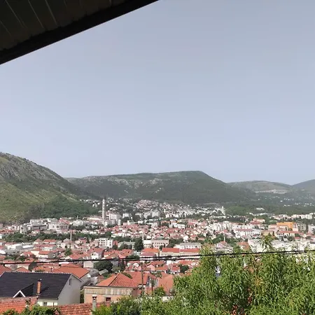 View Of The -